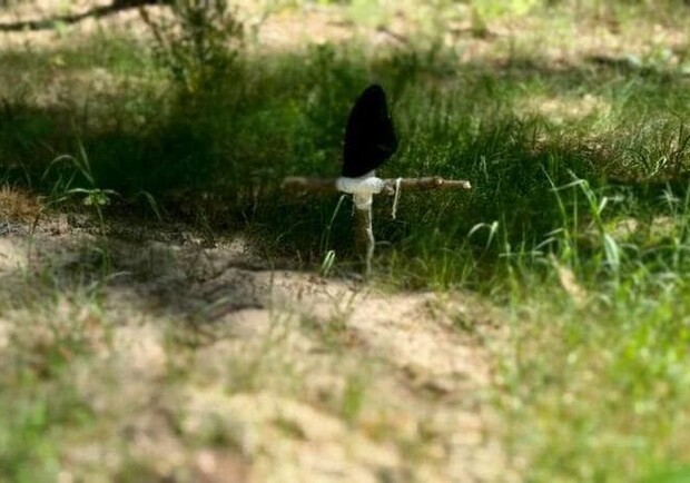  ������ ������� ����� ���� ������� ����������� ������� ������ 