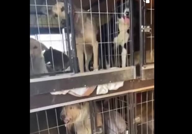  �������� ������� �������� ������ ������� ����� 