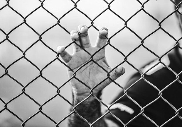 ����: vgorode.ua