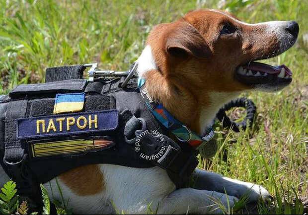  ���� ������ ������� ���������� ��� ������� ������� 