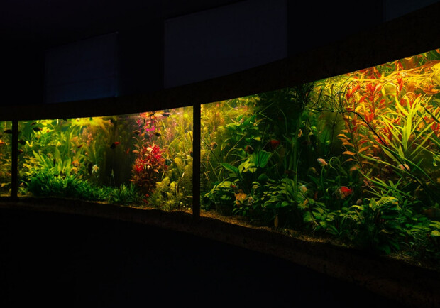  ������ ����� ������� ������� ������ ���� ��� ���� 