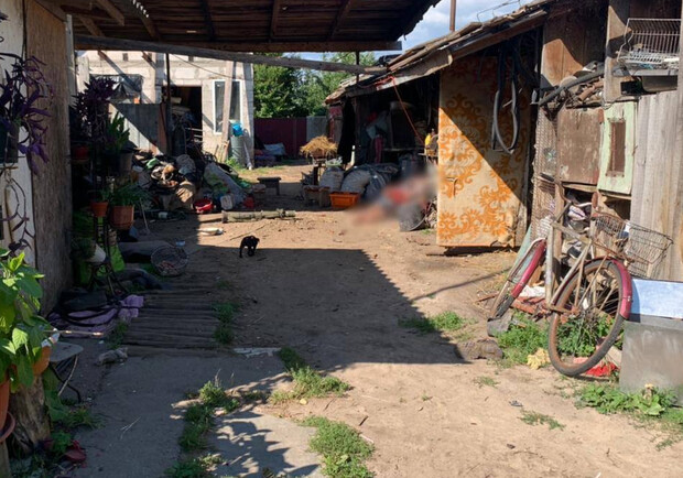  �������� ������� ��������� ����� ������ ����������� 