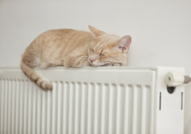  �������� ������� �������� ������������ ����� 2022-2023 