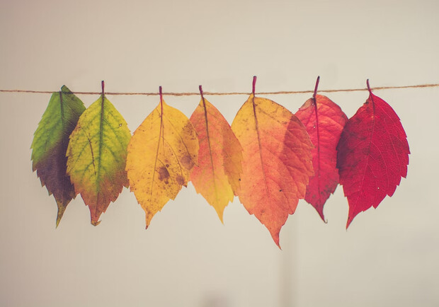 ����: vgorode.ua