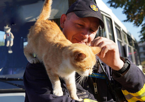  ��������� ������ ���� ������������� ����������� ���� ����� 