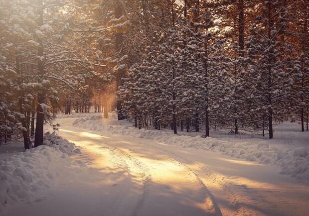  ������� ������ ������� ������ 2023 ��������� 