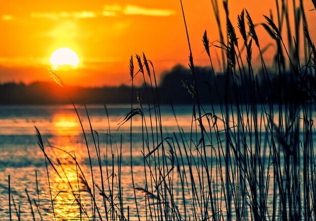  ������ ����� ��������� ������ ���� 