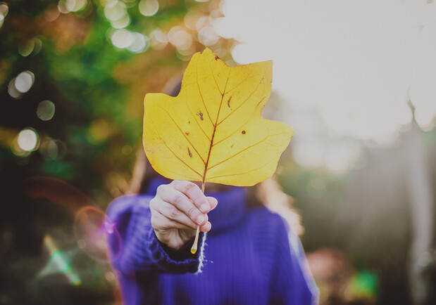  ������ ����� �������� �������� 