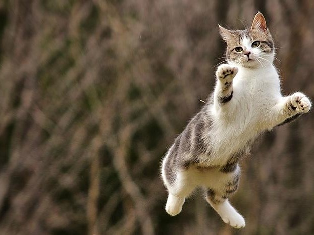 В Запорожье ожидается сильный ветер. Фото: pikabu