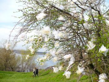 Фото с сайта: http://iz.com.ua