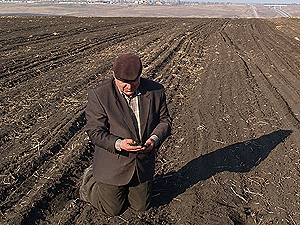 Главное направление сельхозреформы - отмена моратория на продажу земли. Фото: "КП".