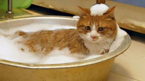 Отличный повод выйти на улицу/ фото: 1news.zp.ua