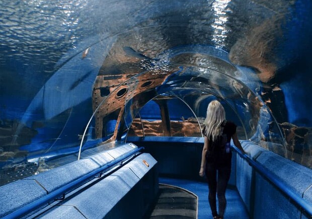 Oceanarium Lviv
