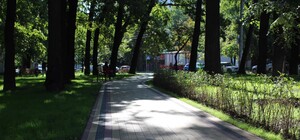 Нагуляешься: в столице открыли обновленный сквер с многолетними дубами