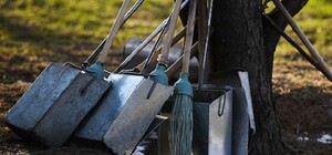 Хватай метлу: жителей Голосеево зовут на субботник