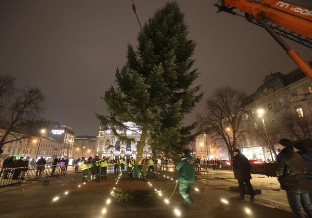 В центрі Львова встановили ялинку. Фото: Львівська міська рада