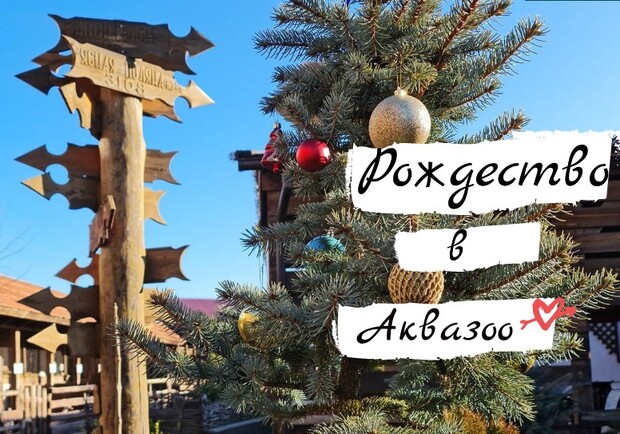Рождество в Аквазоо - фото