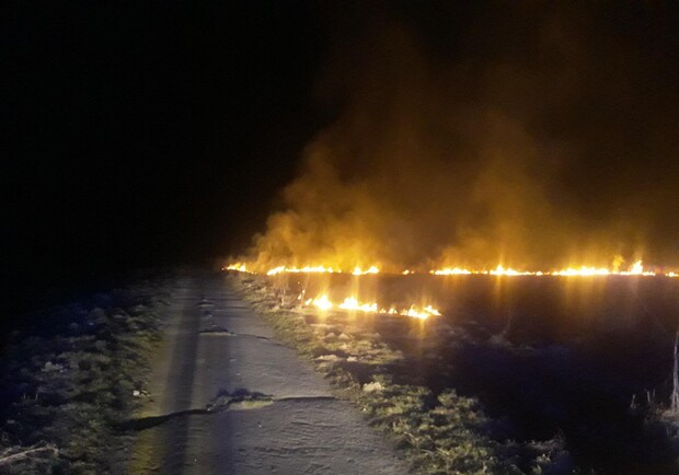 Львів у вогні: на околиці міста розпочалися масштабні пожежі. Фото: ДСНС Львівщини.