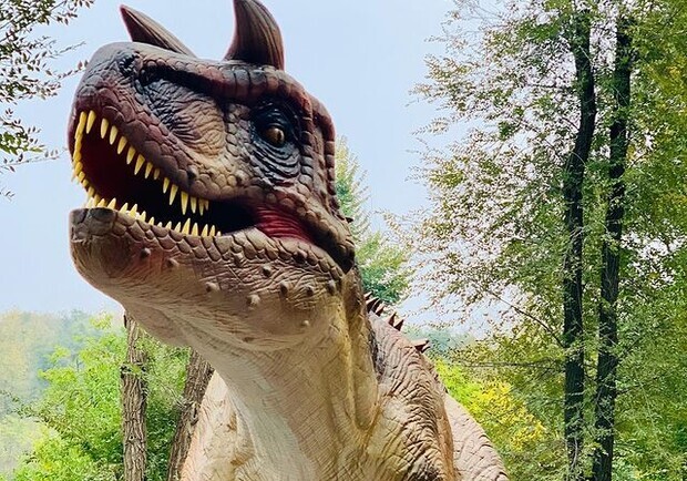 Фото: @dinopark_dnipro