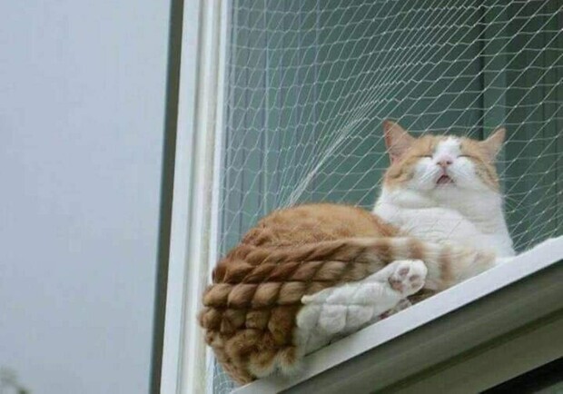 Какая погода будет завтра в Запорожье  - фото: funnyjunk.com