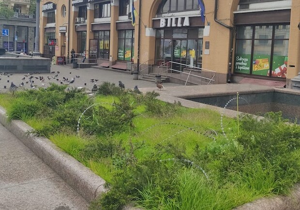 На Бессарабке заметили клумбы с колючей проволокой. Фото:  Илгам Гасанов.