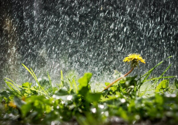 Что значит вероятность осадков в прогнозах погоды. Фото: slovoidilo.ua