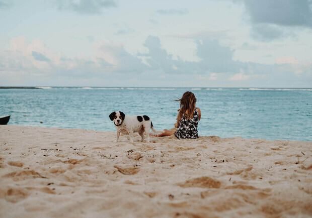 Погода в Запорожье и на курортах Азовского моря на 18 июня 2021. Фото: unsplash.com