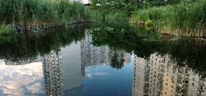 Не застроят: зеленую зону вокруг озера Вулык на Позняках превратят в сквер