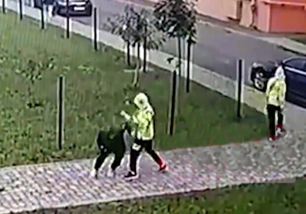 Близнецы из Ровно подозревают в нападении из-за компьютерных игр. Фото: скриншот