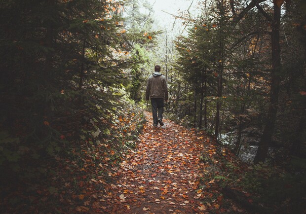 Куда пойти в Киеве в октябре 2021: афиша главных событий месяца. Фото: Unsplash