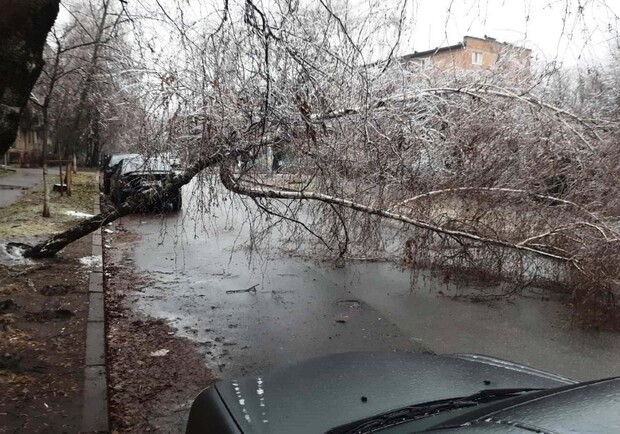 Последствия ледяного дождя. || Фото: facebook.com/zelenbud