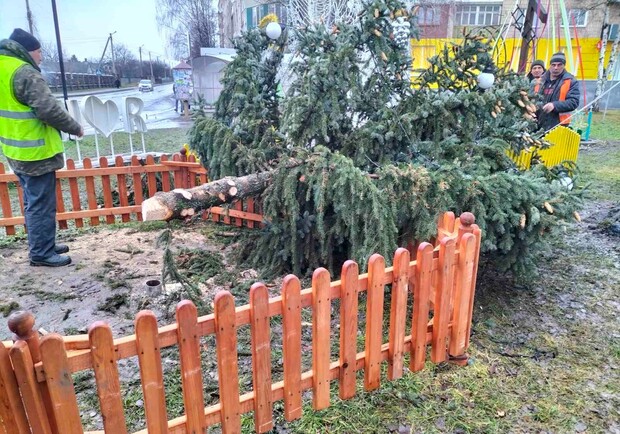 На Новий рік у Львові оголосили штормове попередження || Фото: facebook.com/КП Рівненський міський трест зеленого господарства (умовне)
