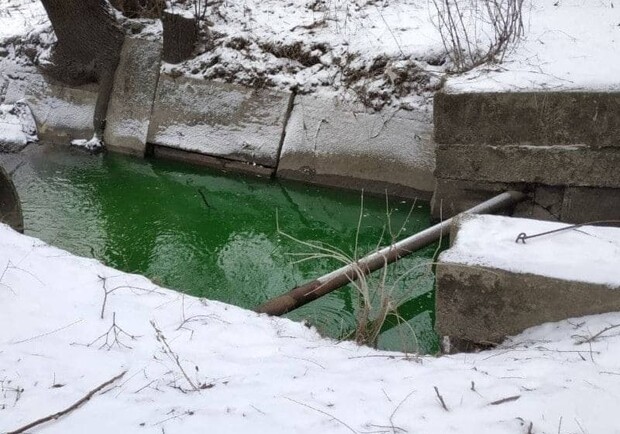 Вода в реке Сырец в Киеве стала ядовито-зеленого цвета: в чем причина. || Фото: segodnya.ua
