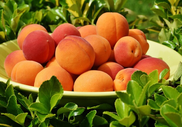 Продуктові ярмарки у Києві 6-7 серпня: адреси. || Фото: pixabay.com