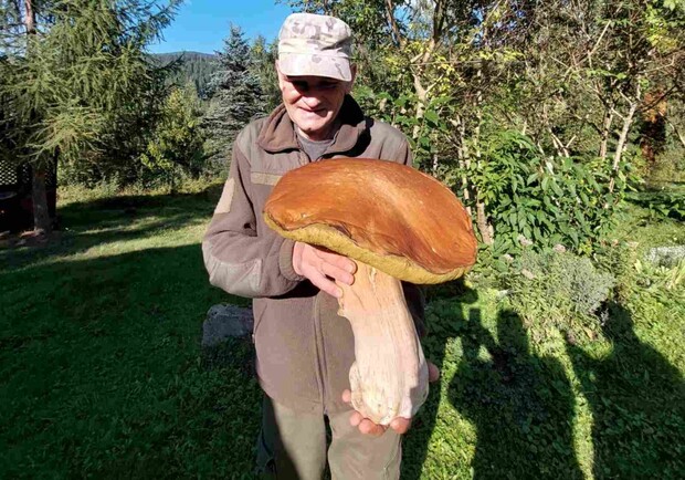 У Карпатах чоловік знайшов гігантського білого гриба — фото. || Фото: facebook.com/CarpathianNNP.