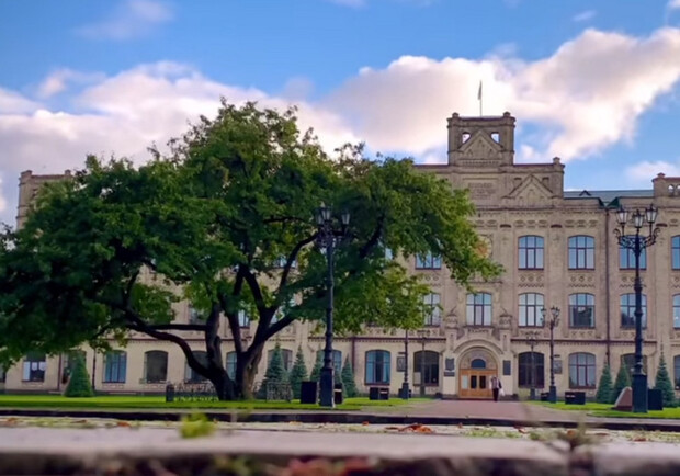 Стало известно, где растет самая старая яблоня Киева - видео. || Фото: скриншот из видео