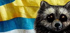 Одесситы предлагают обменять памятник Екатерине II на похищенного енота из Херсона