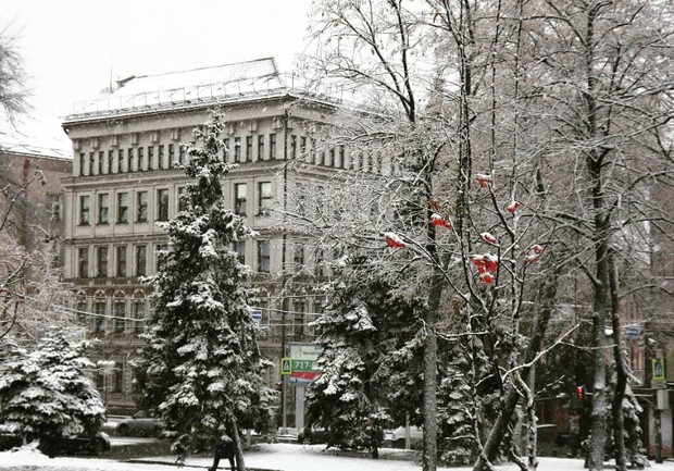 будет ли снег в декабре в москве