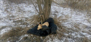 На Киевщине мужчина ценой своей жизни спас собаку, провалившуюся под лед