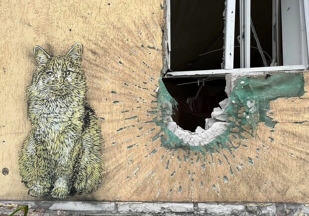 Паризький художник C215 створив кілька графіті у Києві та області. || Фото: bigkyiv.com.ua