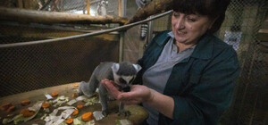 За 2022 год в зоопарке Киева родилось 300 животных - фото