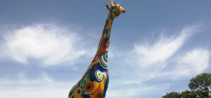 Да неужели: во время реконструкции Киевского зоопарка разворовали миллионы гривен