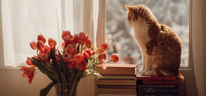 Почему в Киеве пока что не отключают отопление: объяснение КГГА