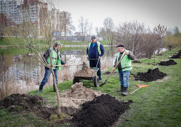 В Киеве во время толоки вывезли более шести тысяч кубометров мусора: фото. || Фото: КГГА
