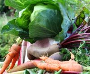 Съездим за продуктами для борща и салата в Мадрид? Фото sxc.hu
