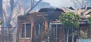 В Днепре нужна помощь ветклинике,  которая пострадала из-за ракетной атаки