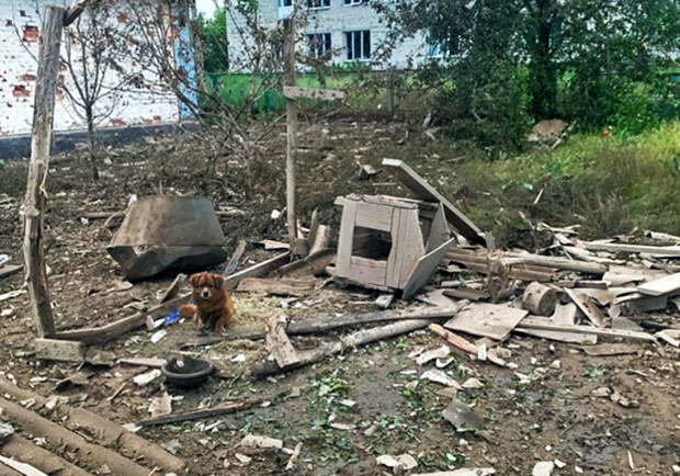 В полиции показали последствия обстрелов Запорожской области за сутки || - фото: zp.npu.gov.ua
