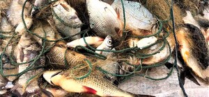 В Запорожье на Хортице изъяли браконьерские сети с мертвой рыбой