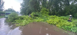 Подтоплены дома, больница и застрявшие автомобили: последствия непогоды в Запорожье