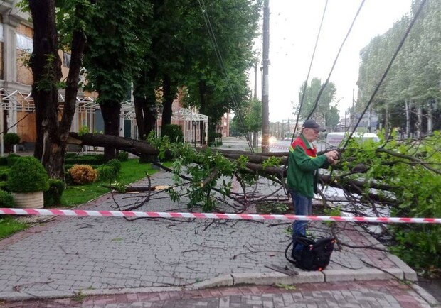 Упавшие деревья и разрушенные электросети: в Запорожье устраняют последствия непогоды. || Фото: t.me/kurtievofficial
